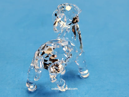 LAMB LITTLE 651875