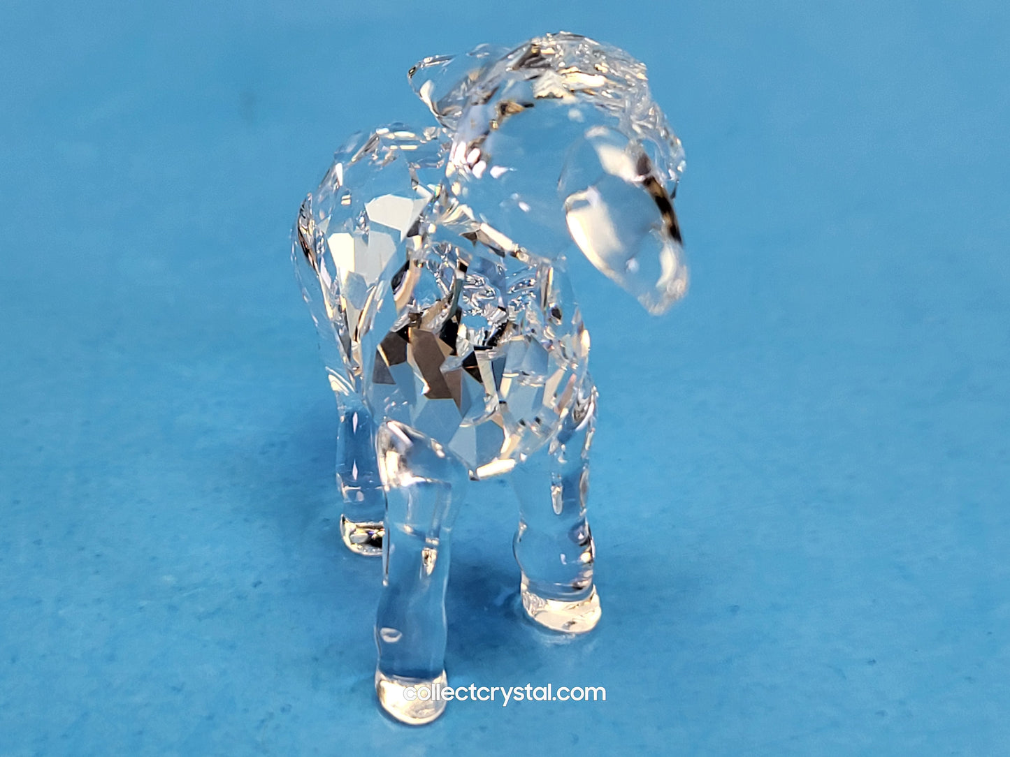 LAMB LITTLE 651875