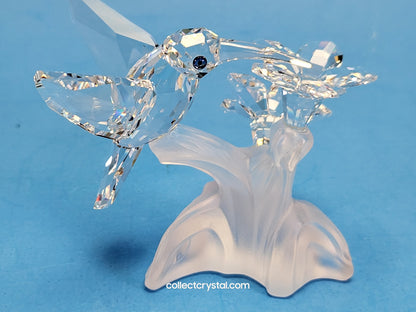 HUMMINGBIRD 166184