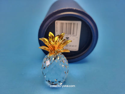 PINEAPPLE GOLD SMALL 012726
