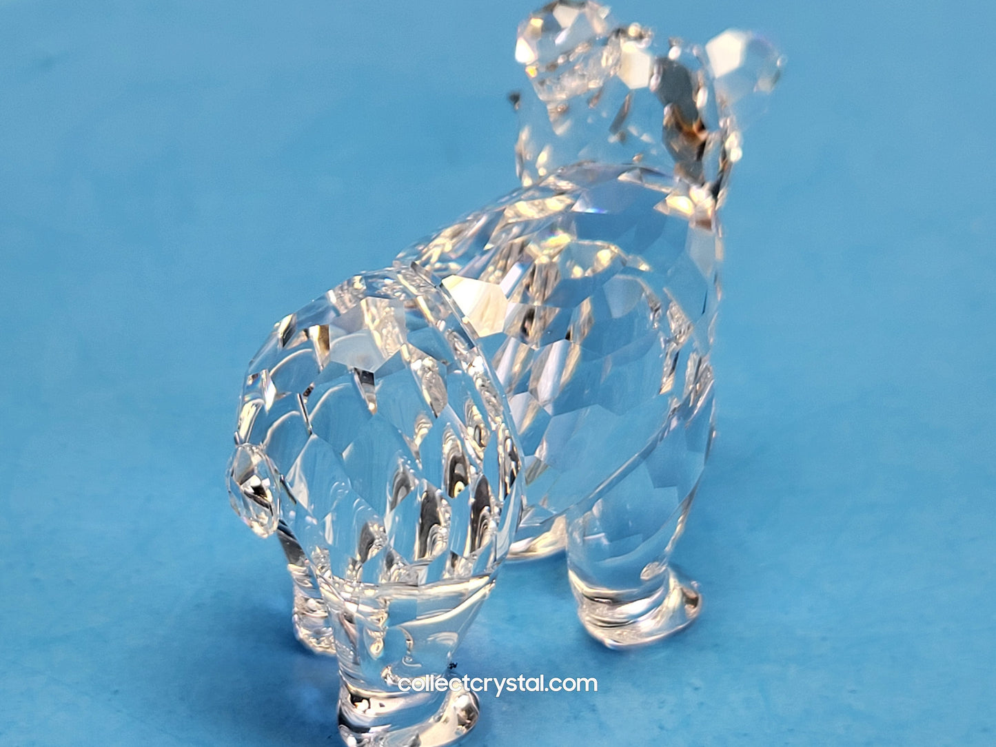 SWAROVSKI GRIZZLY CUB 261925