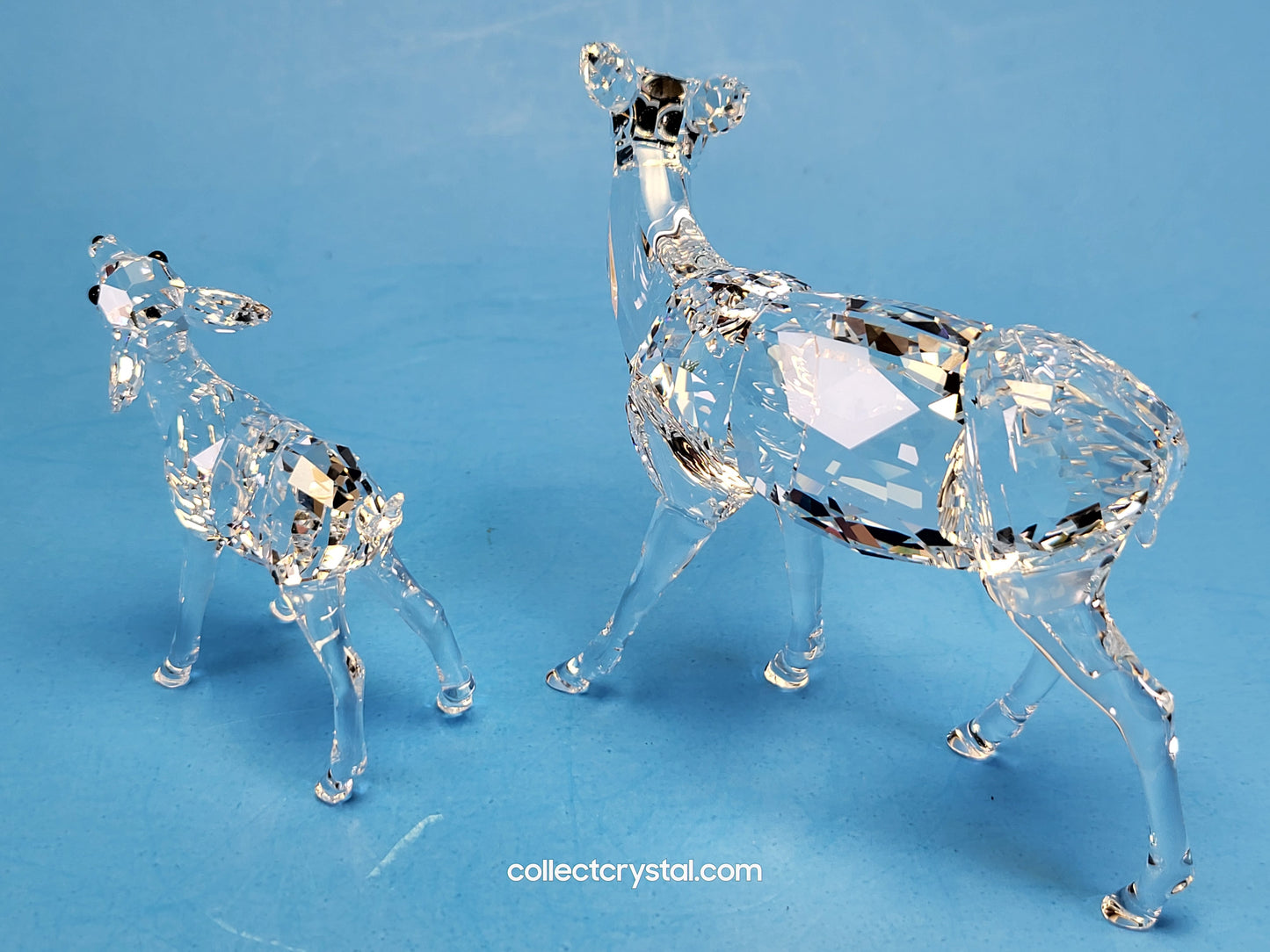 DOE 247963, FAWN 235045