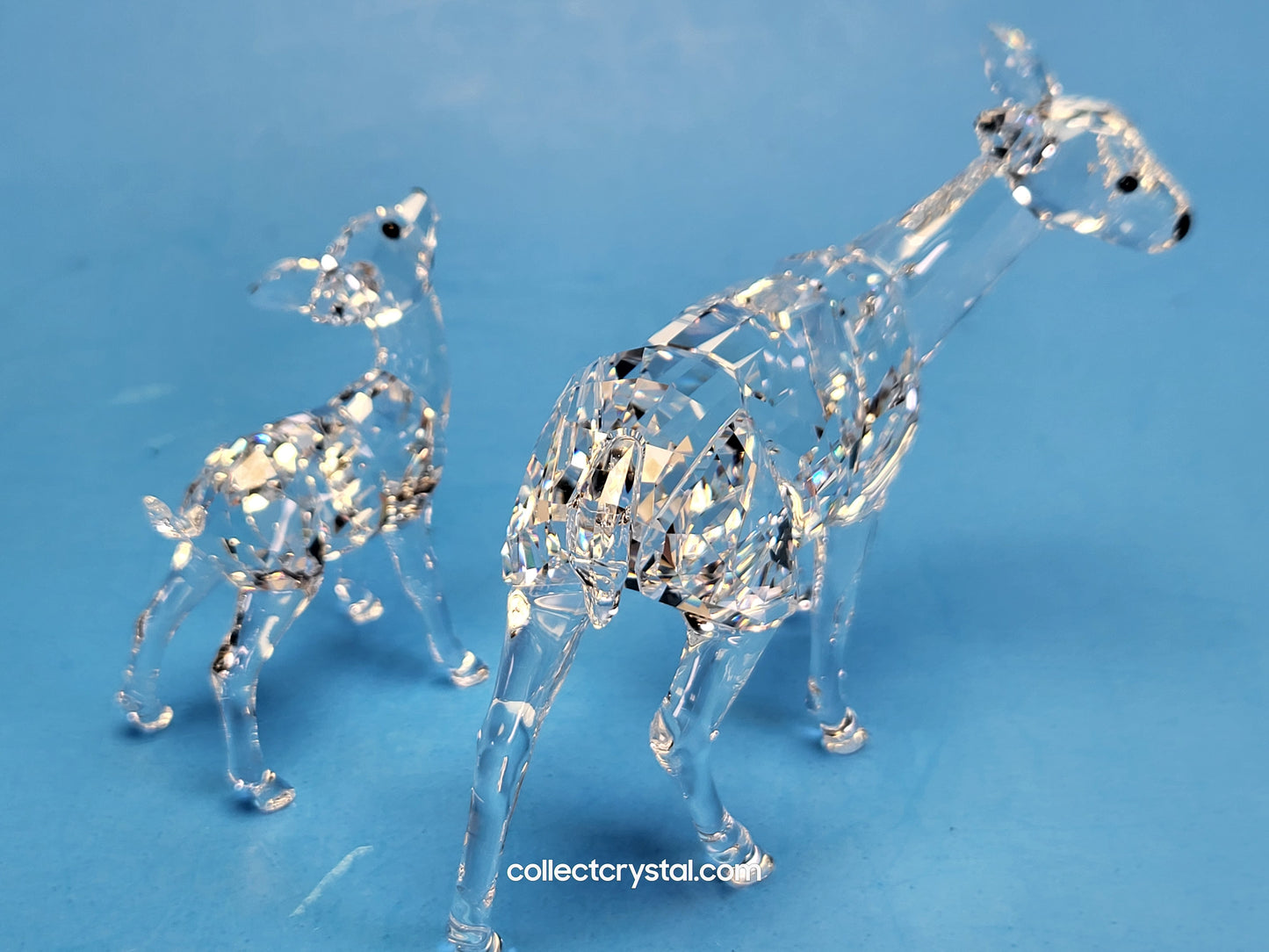 DOE 247963, FAWN 235045