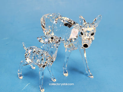 DOE 247963, FAWN 235045