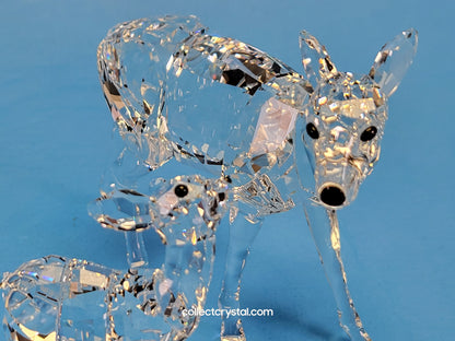 DOE 247963, FAWN 235045
