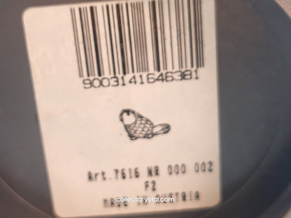 BEAVER BABY LYING 164639