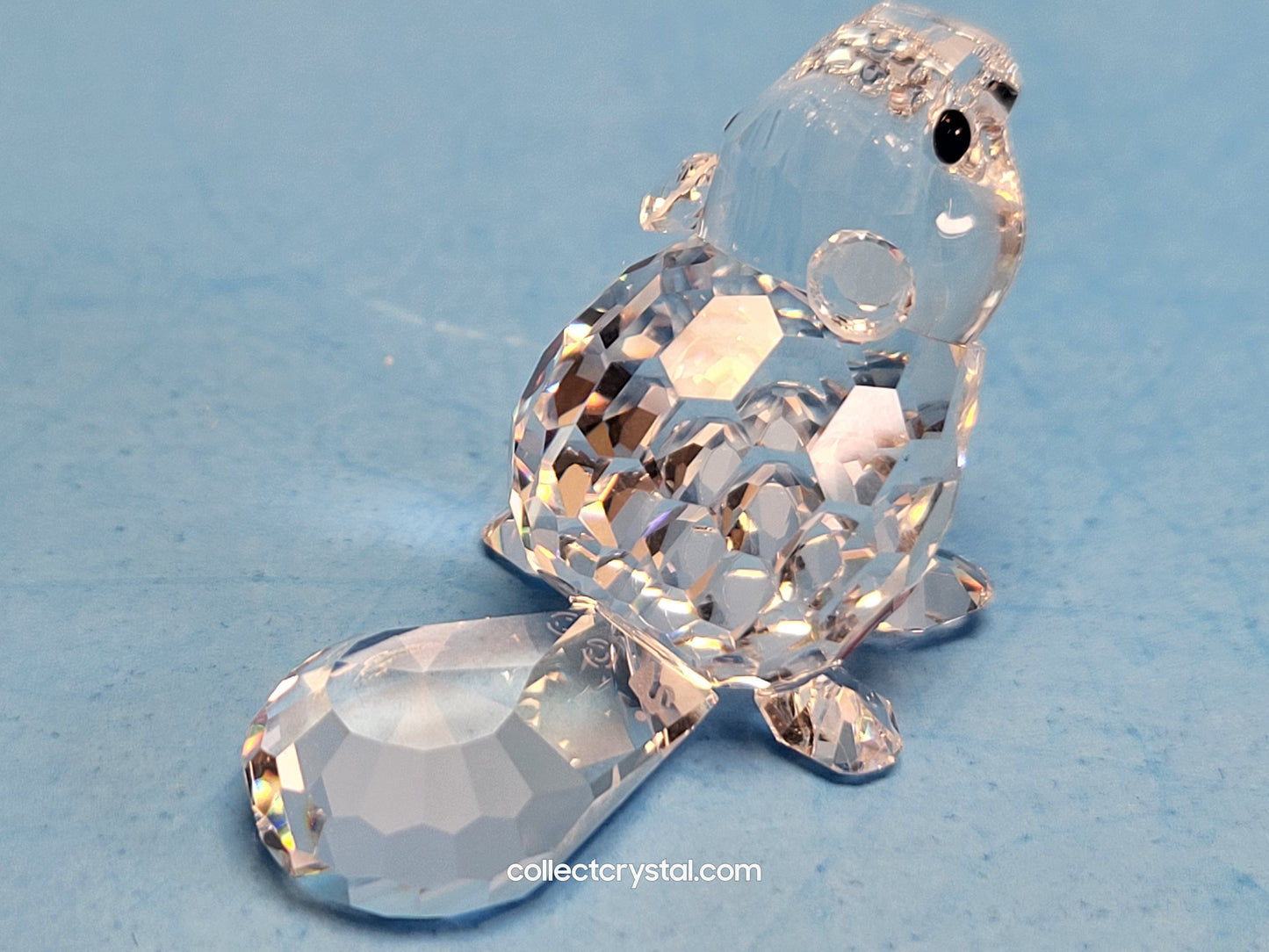 BEAVER BABY LYING 164639