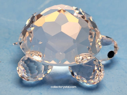 TURTLE / TORTOISE SMALL 010033