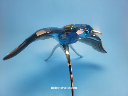 PARADISE BIRDS – ROLLER BIRD 957568