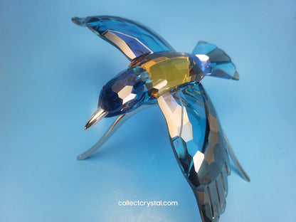 PARADISE BIRDS – ROLLER BIRD 957568