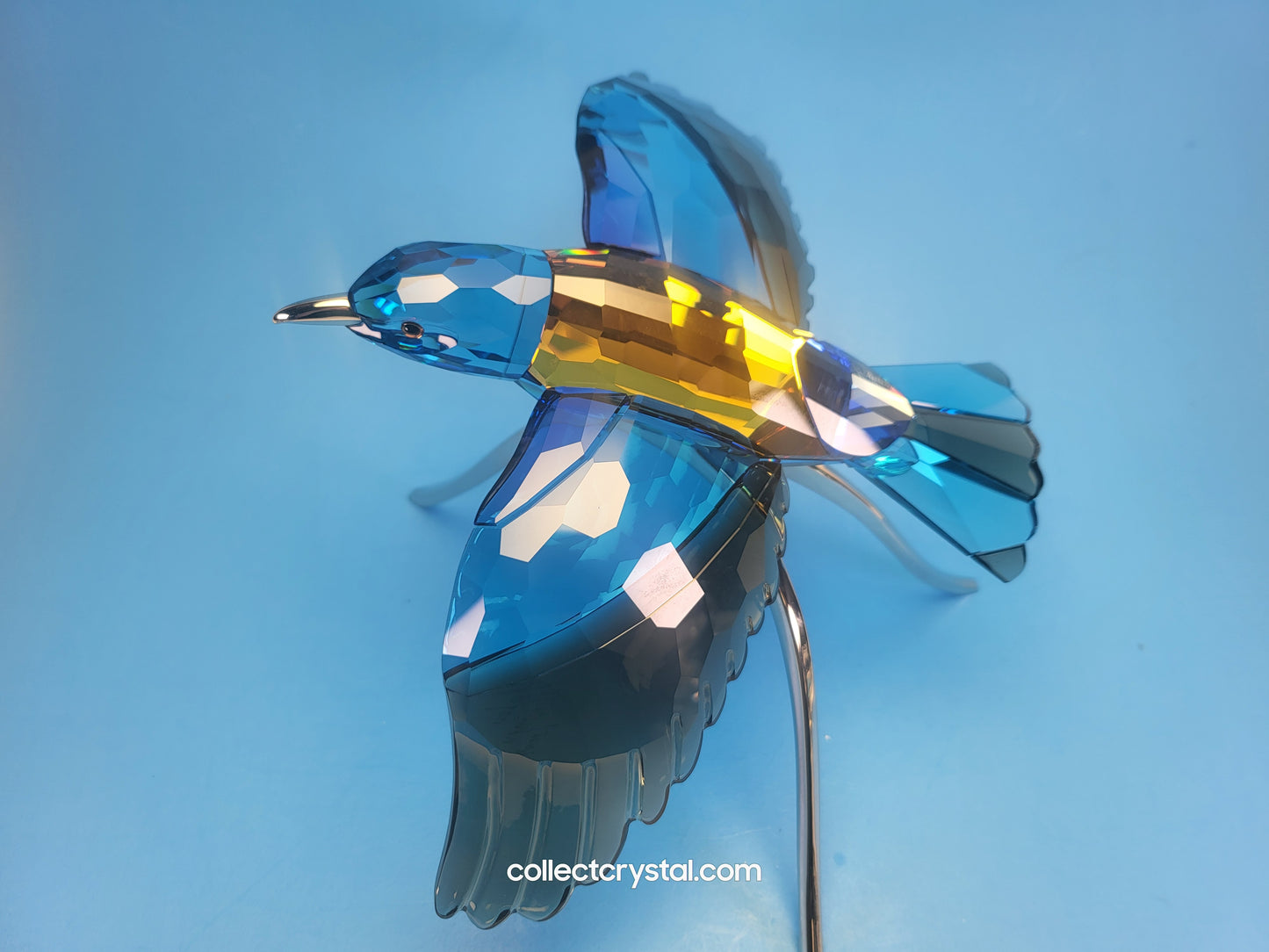 PARADISE BIRDS – ROLLER BIRD 957568