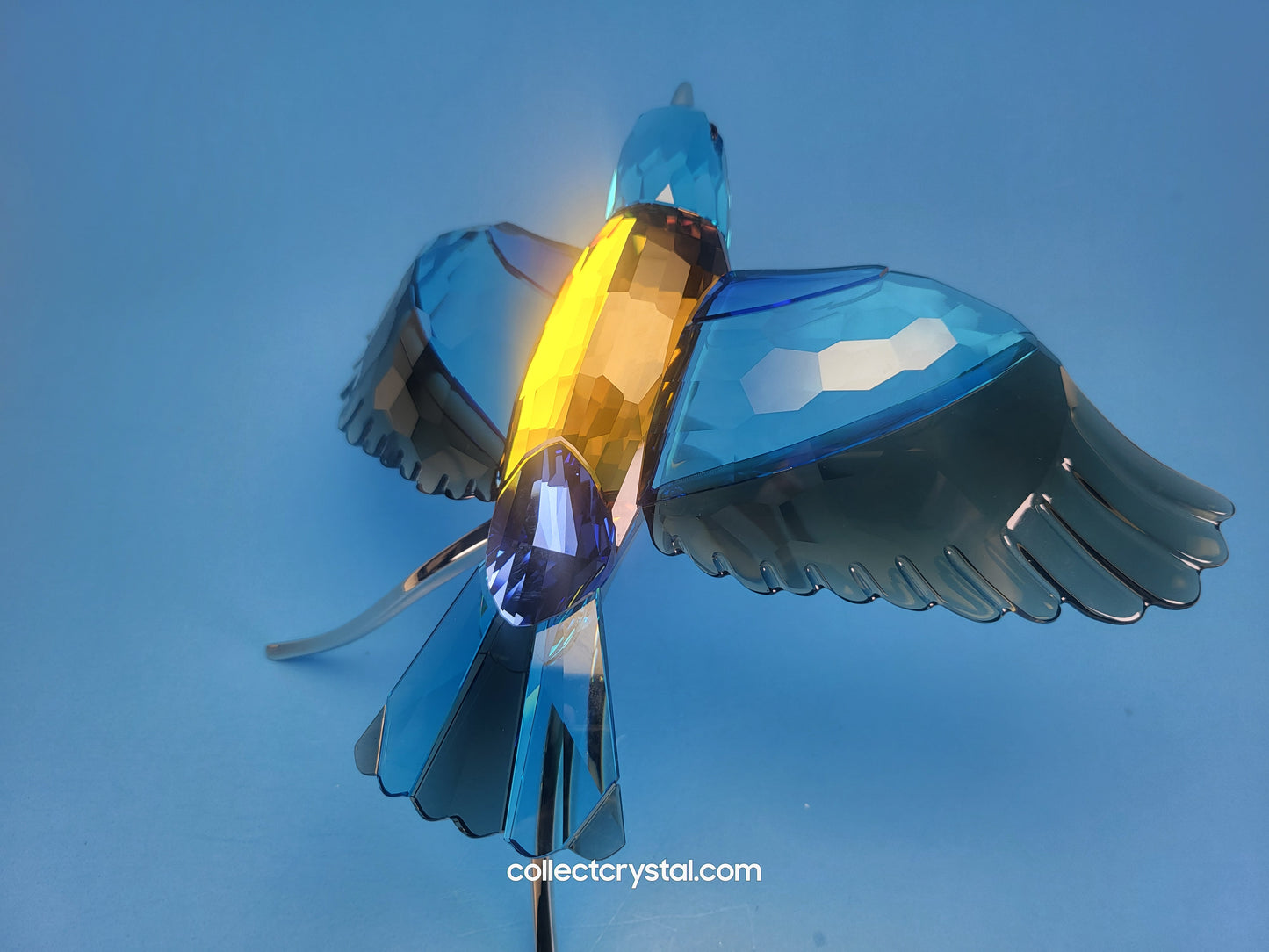 PARADISE BIRDS – ROLLER BIRD 957568