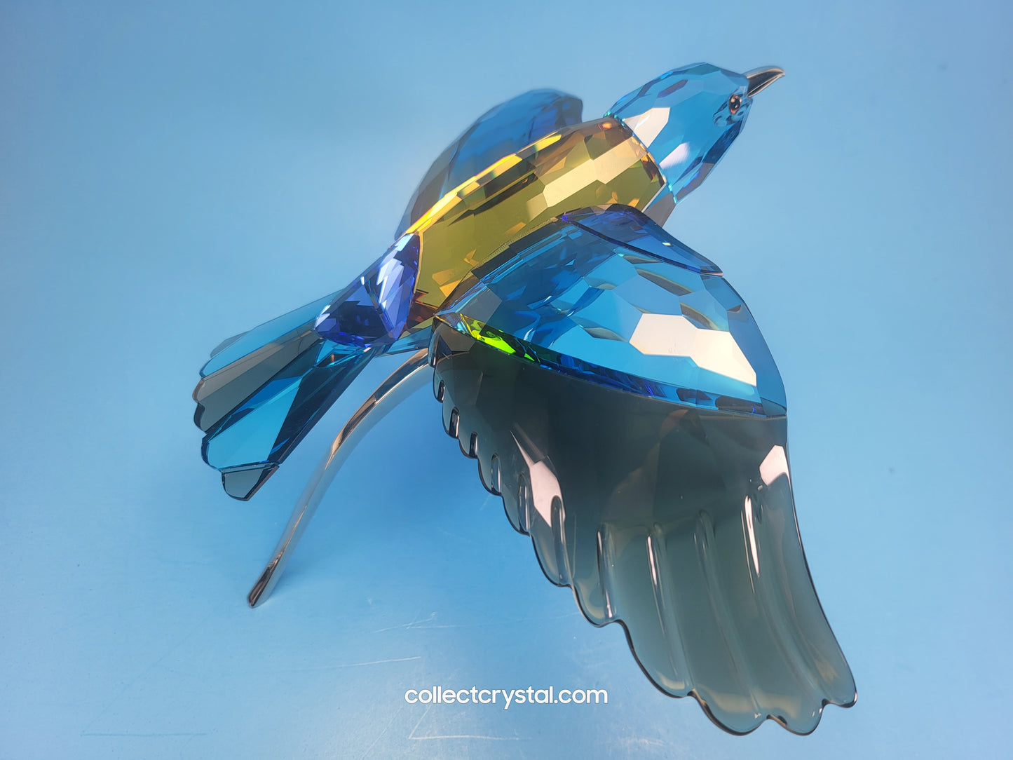 PARADISE BIRDS – ROLLER BIRD 957568