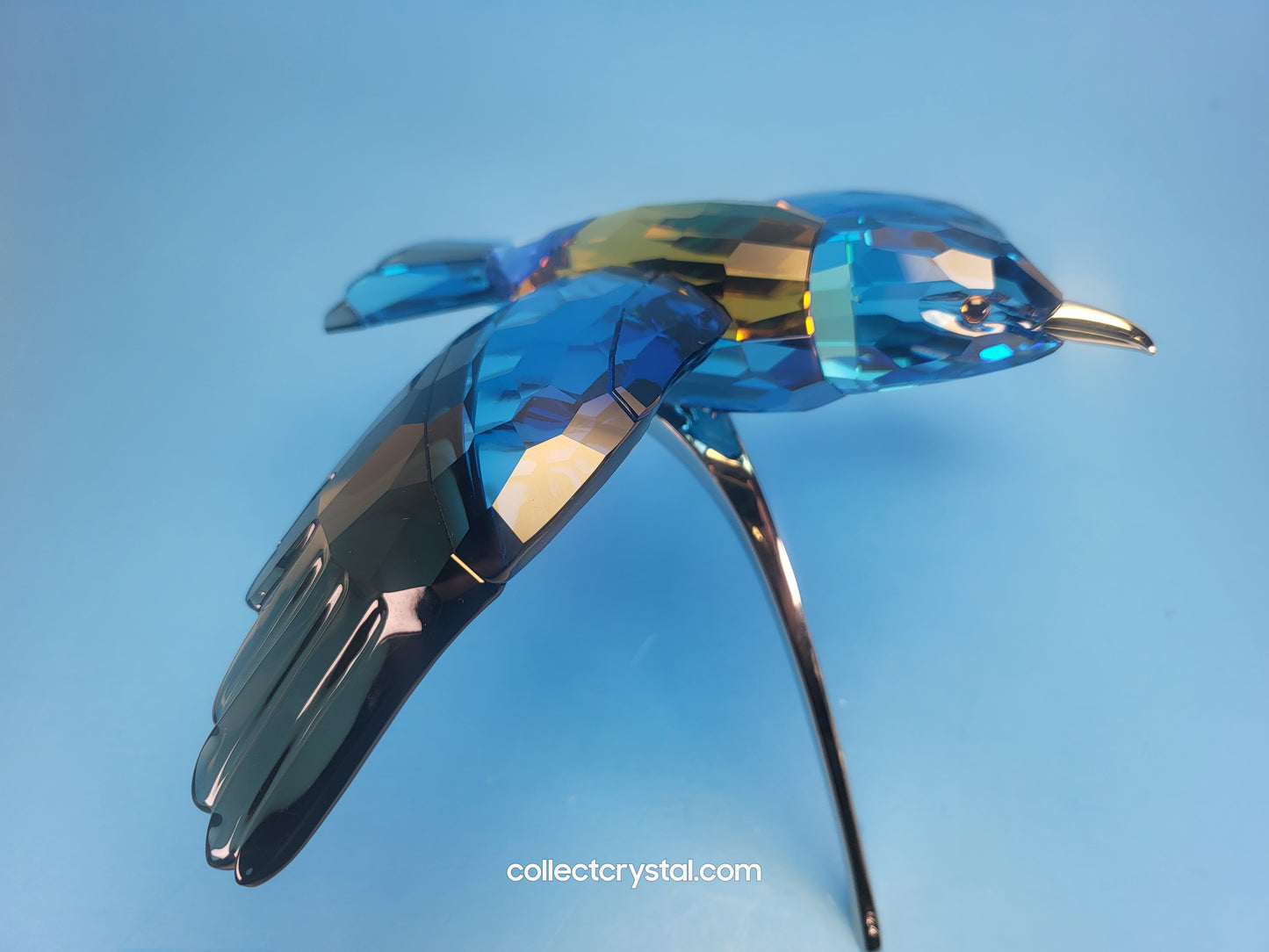 PARADISE BIRDS – ROLLER BIRD 957568