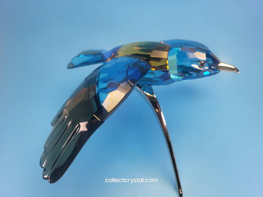 PARADISE BIRDS – ROLLER BIRD 957568