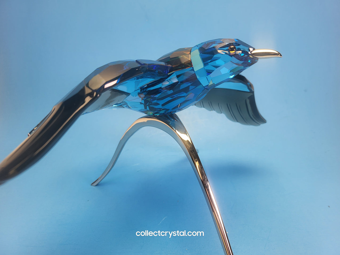 PARADISE BIRDS – ROLLER BIRD 957568