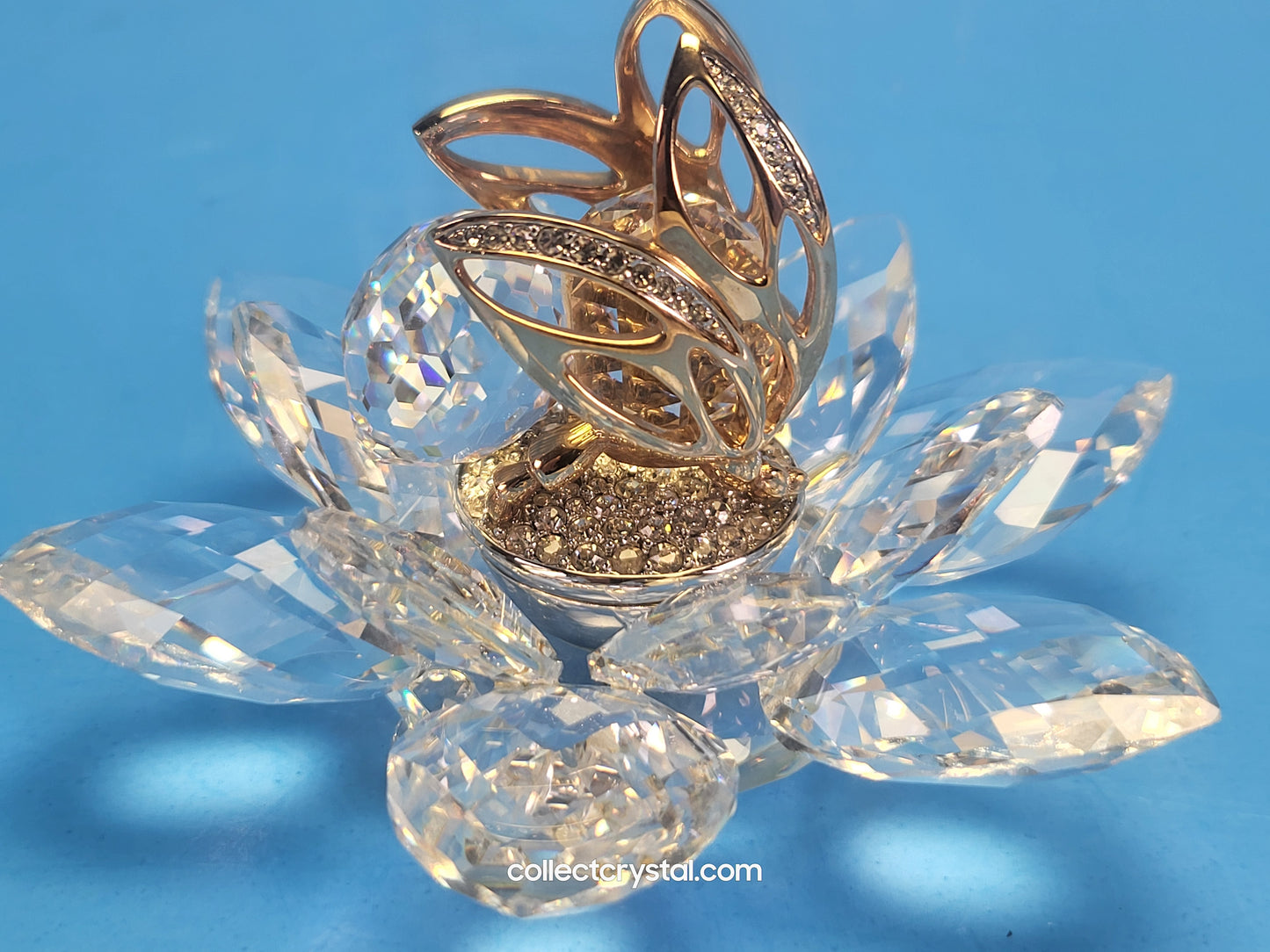 IN FLIGHT BEE GOLD – USA 7553NR100
