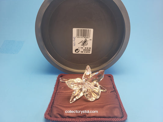 ORCHID – light pink CENTRE 200287