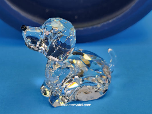 ZODIAC DOG 622843