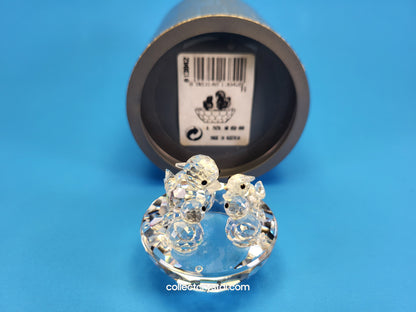 BIRD’S NEST 013842