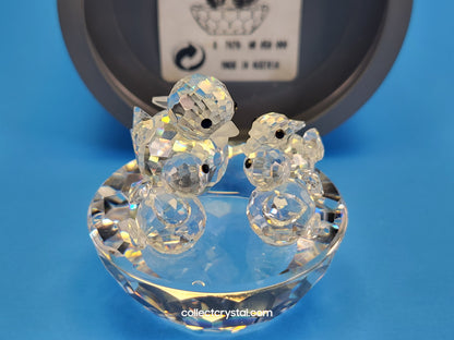 BIRD’S NEST 013842