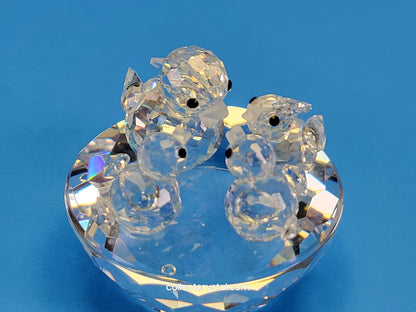 BIRD’S NEST 013842