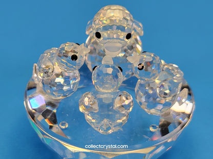BIRD’S NEST 013842