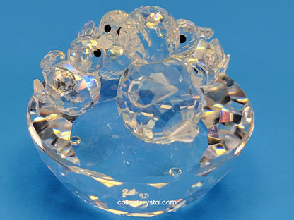 BIRD’S NEST 013842
