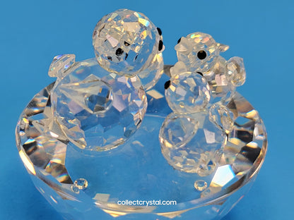 BIRD’S NEST 013842