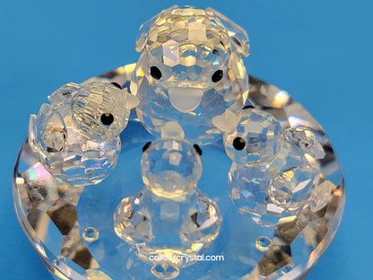 BIRD’S NEST 013842