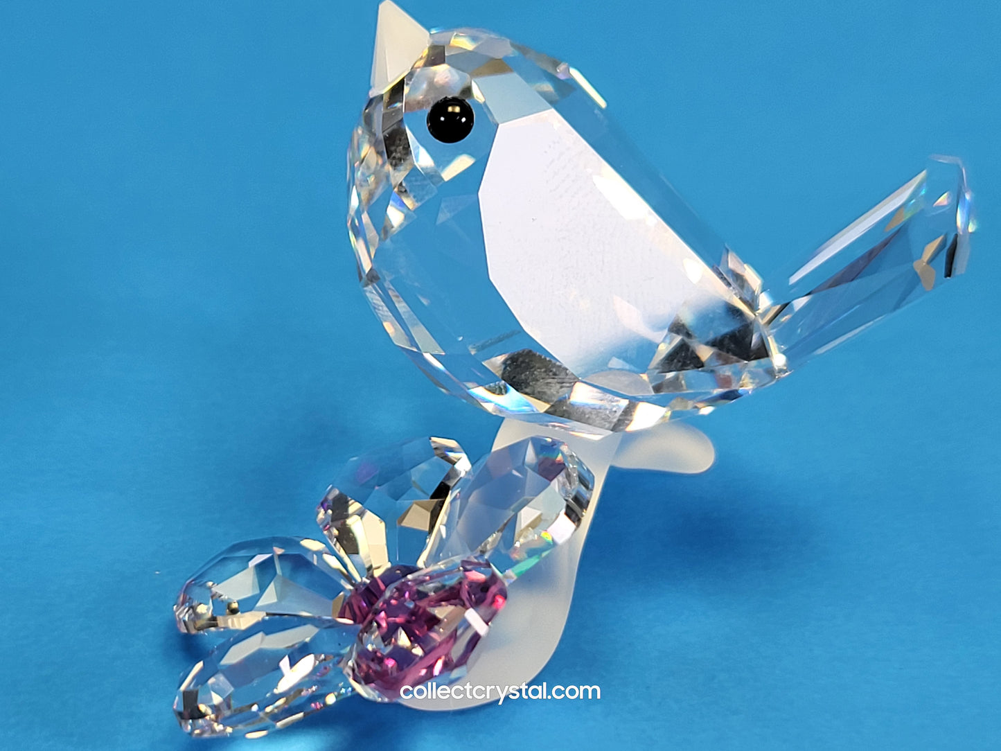 BABY BIRD 840329