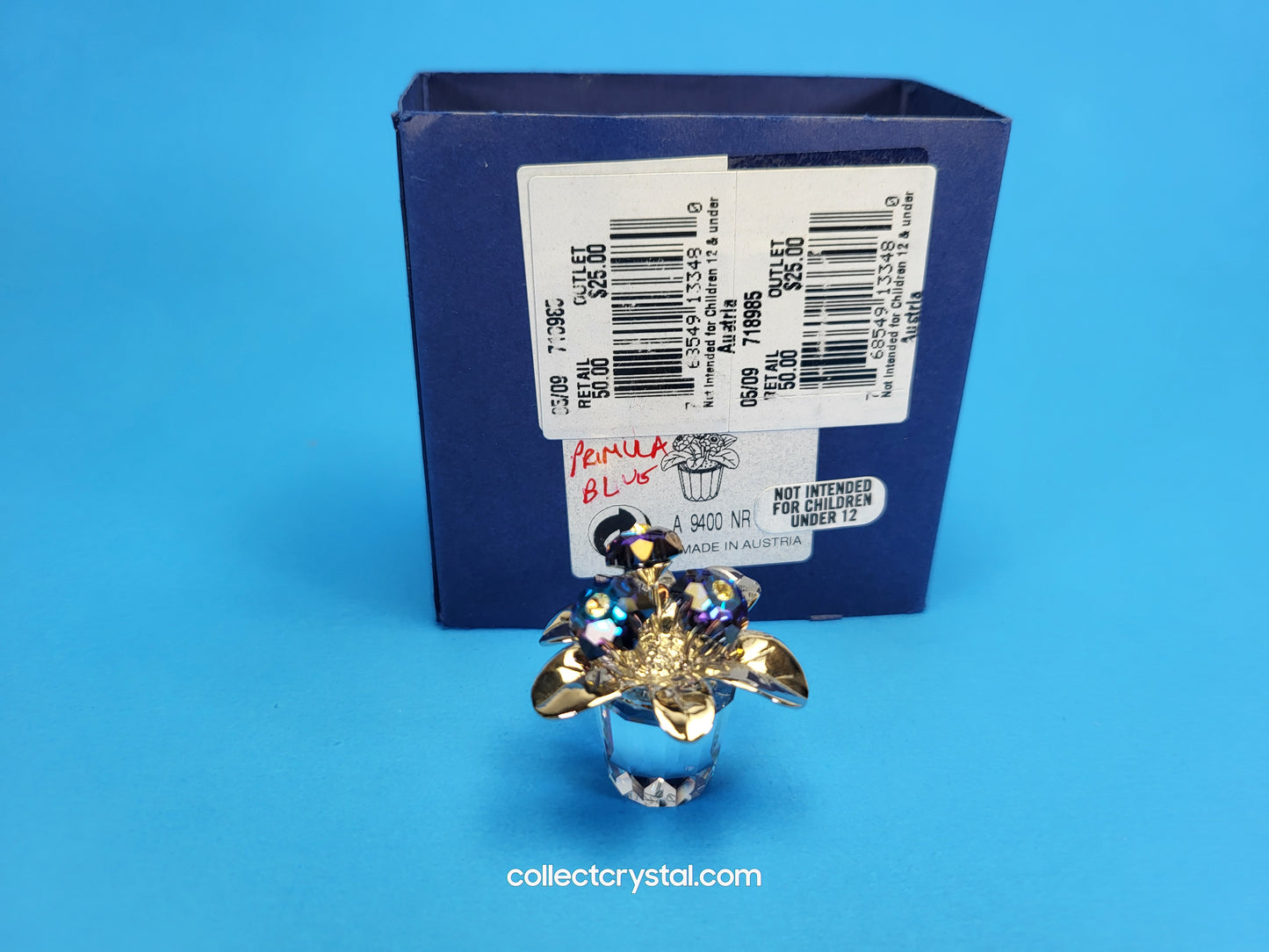 MEMORIES – PRIMULA RHODIUM BLUE 718985