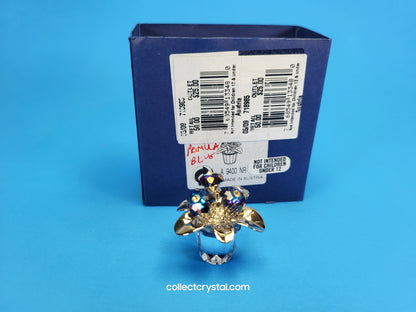 MEMORIES – PRIMULA RHODIUM BLUE 718985
