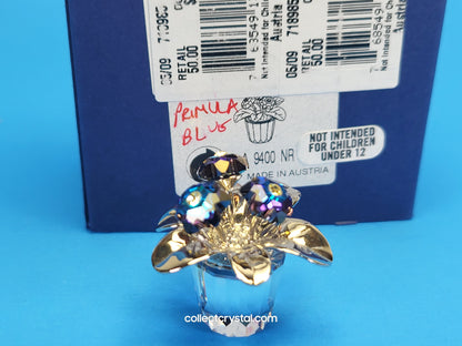 MEMORIES – PRIMULA RHODIUM BLUE 718985