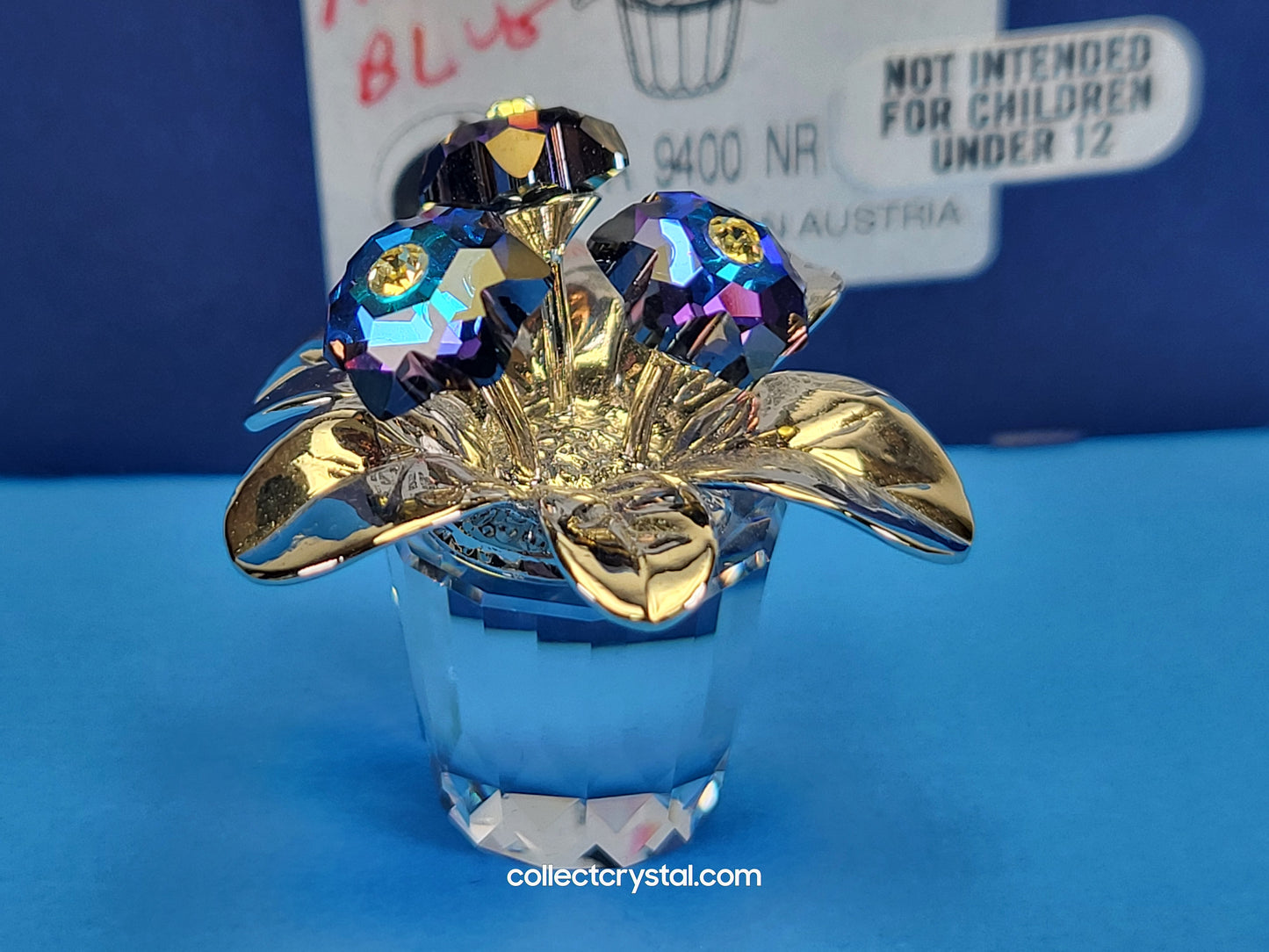 MEMORIES – PRIMULA RHODIUM BLUE 718985