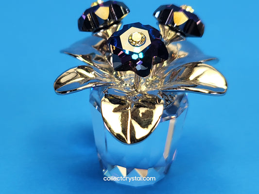 MEMORIES – PRIMULA RHODIUM BLUE 718985
