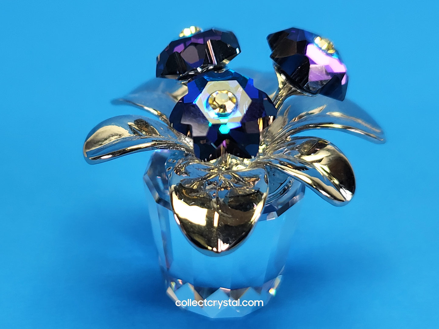 MEMORIES – PRIMULA RHODIUM BLUE 718985