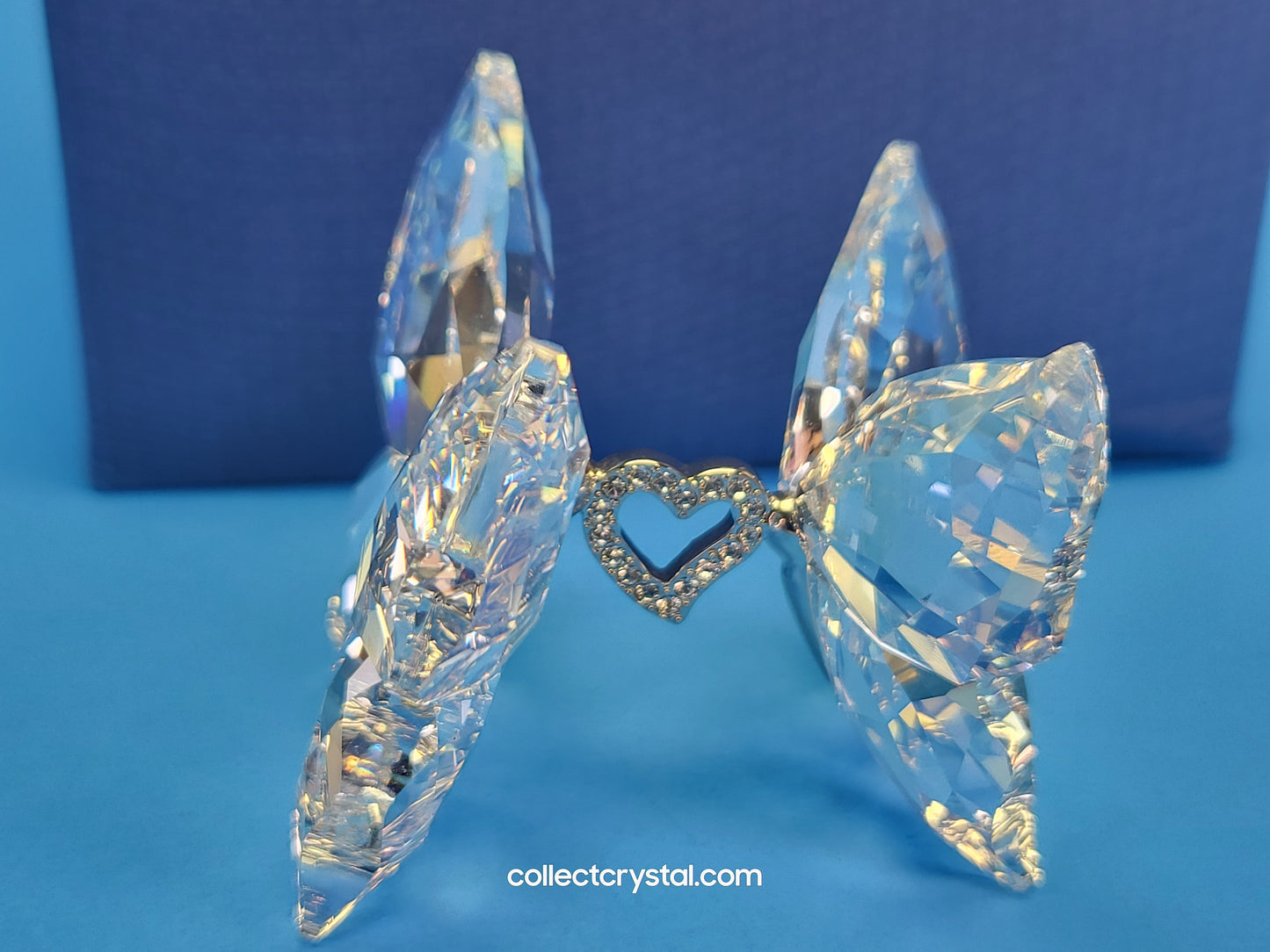 LOVE BUTTERFLIES 1143416
