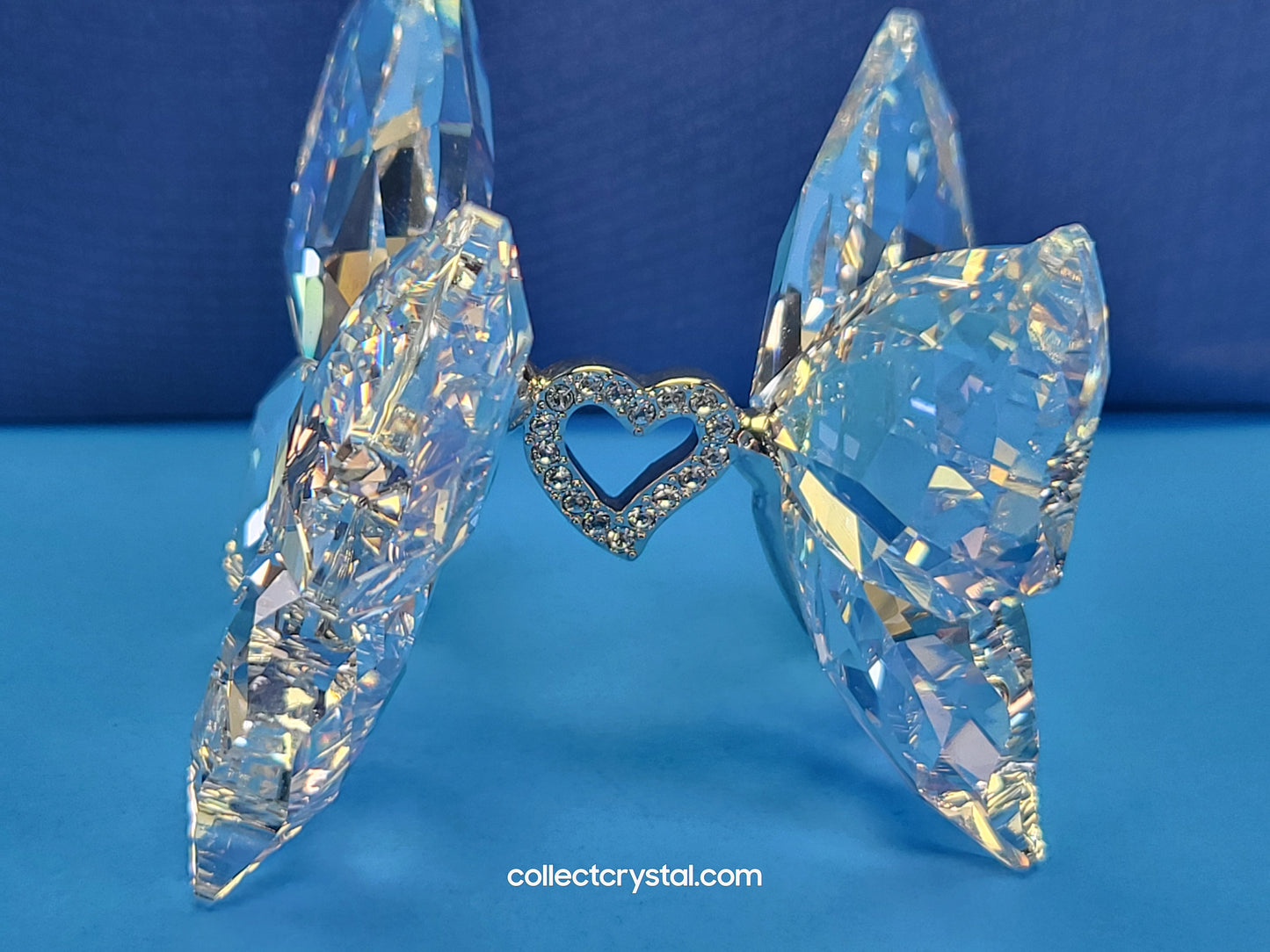 LOVE BUTTERFLIES 1143416
