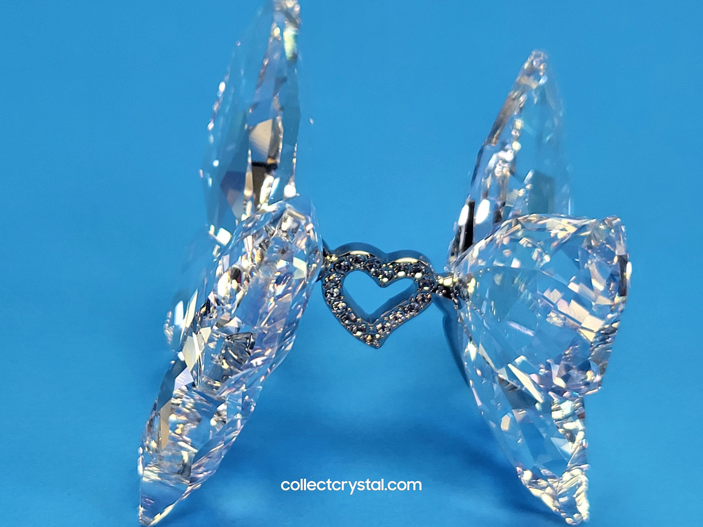 LOVE BUTTERFLIES 1143416