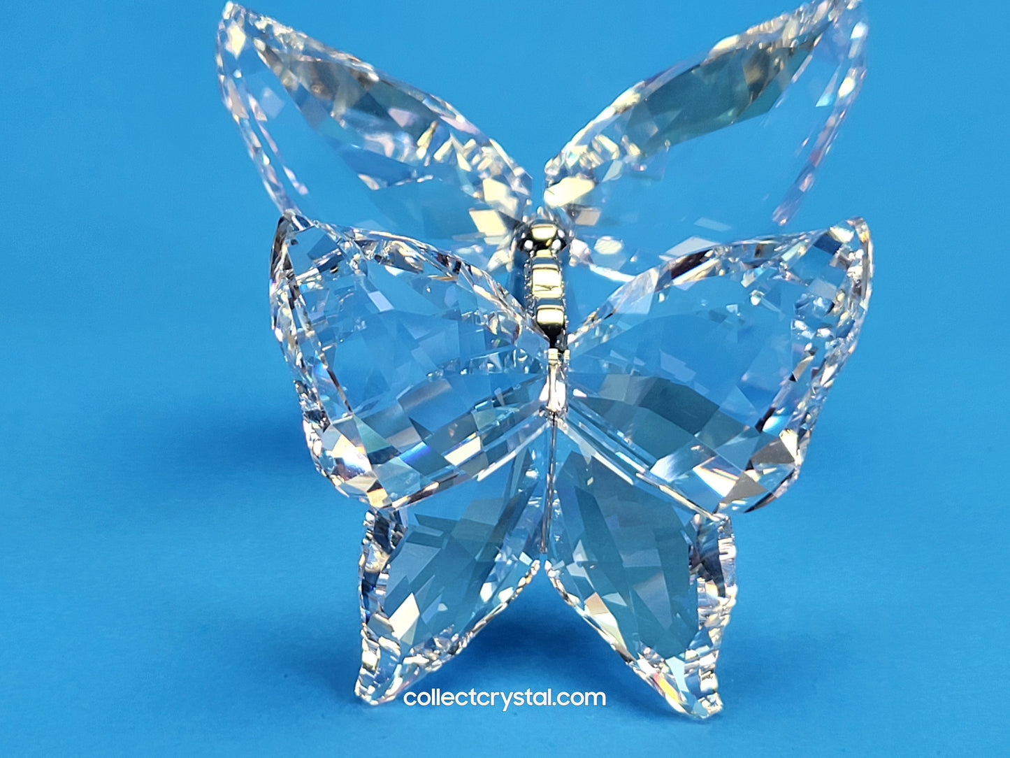 LOVE BUTTERFLIES 1143416