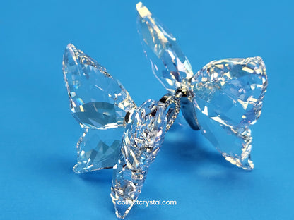 LOVE BUTTERFLIES 1143416