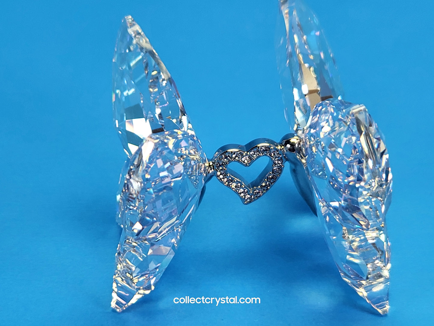 LOVE BUTTERFLIES 1143416