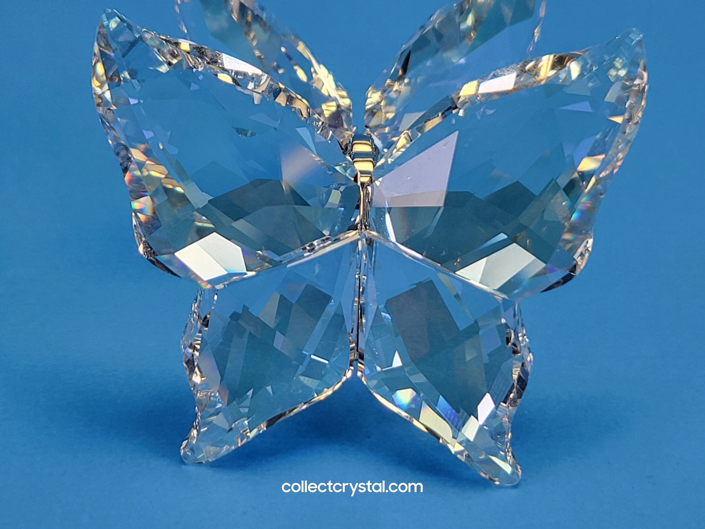LOVE BUTTERFLIES 1143416