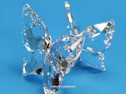 LOVE BUTTERFLIES 1143416