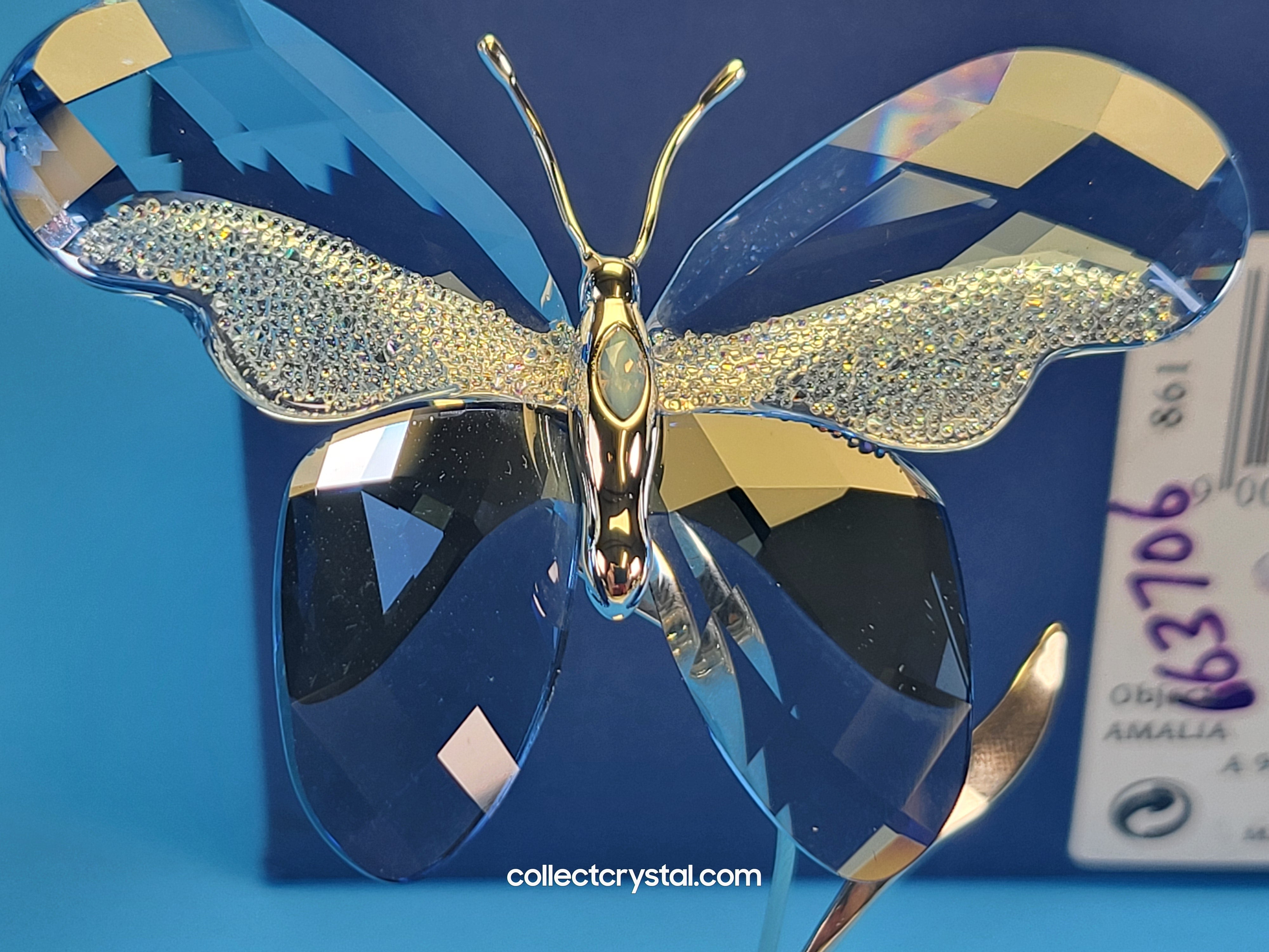 VALIEM JICARA BUTTERFLY サイズS PARADISE BUGS OBJECT – BUTTERFLY AMALIA LAVENDER 861935 – Collect