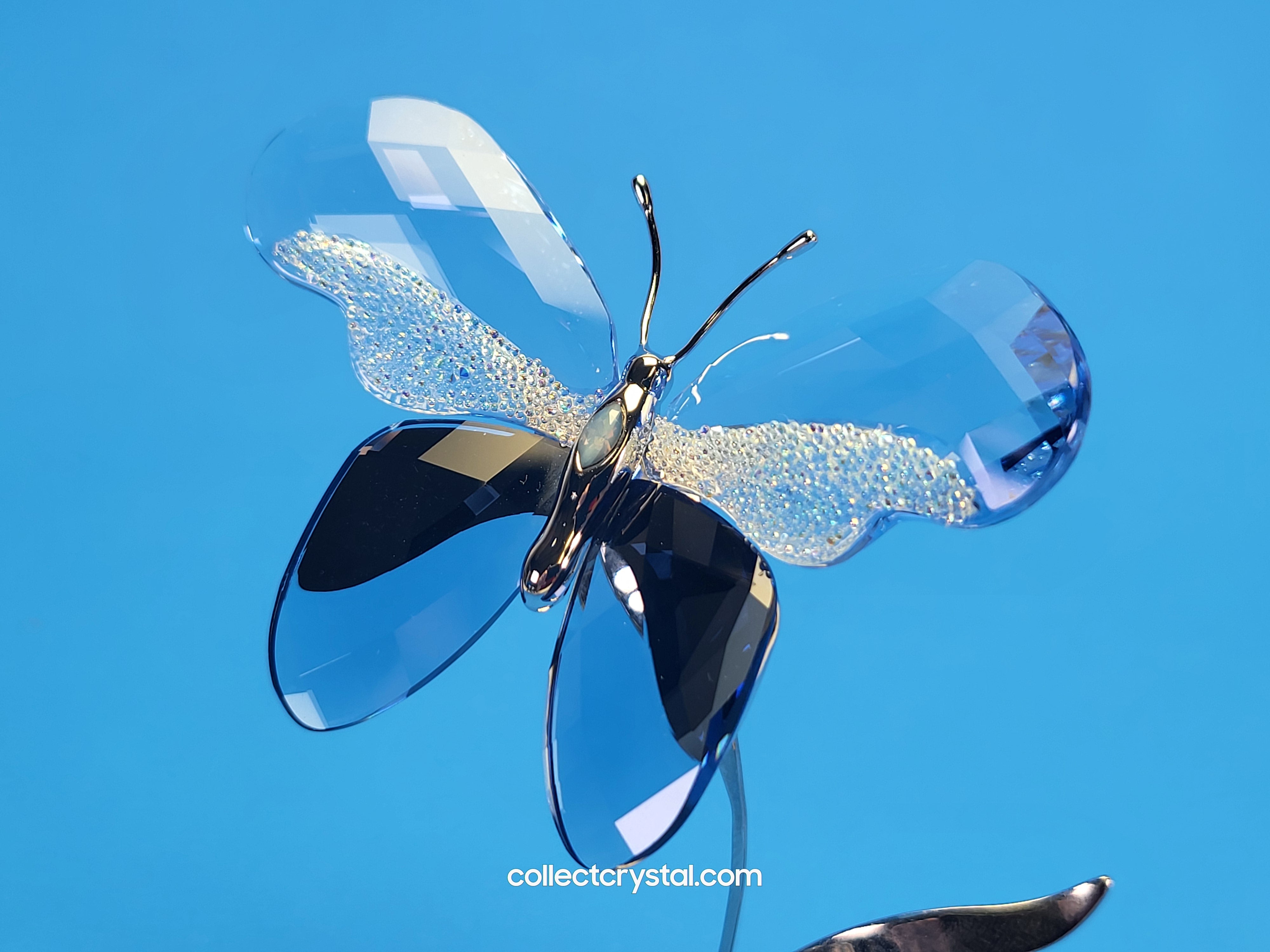 PARADISE BUGS OBJECT – BUTTERFLY AMALIA LAVENDER 861935 – Collect