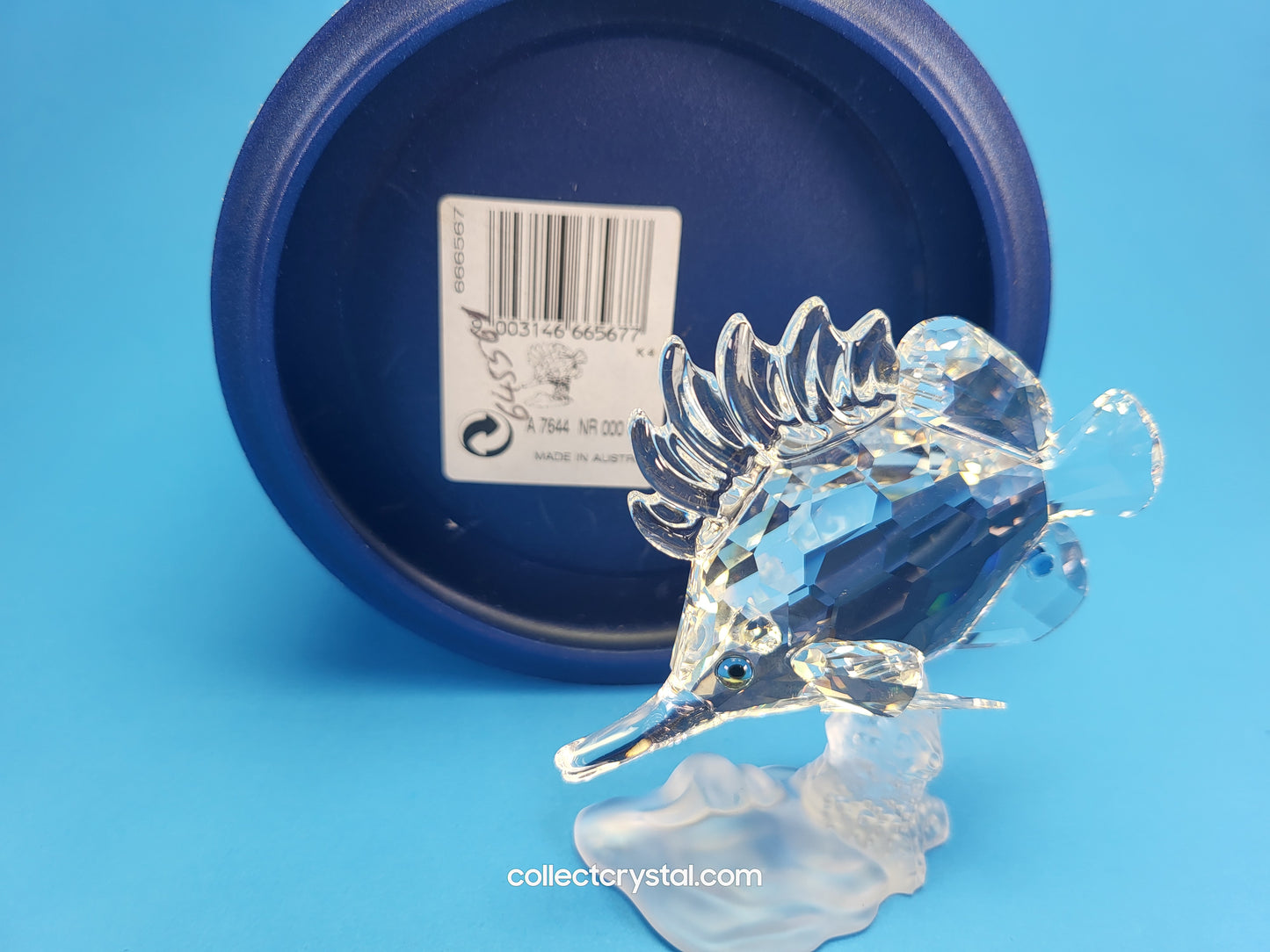 Longnose Butterfly Crystal Fish Figurine 2009 MIB Complete # 666567