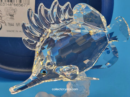 Longnose Butterfly Crystal Fish Figurine 2009 MIB Complete # 666567