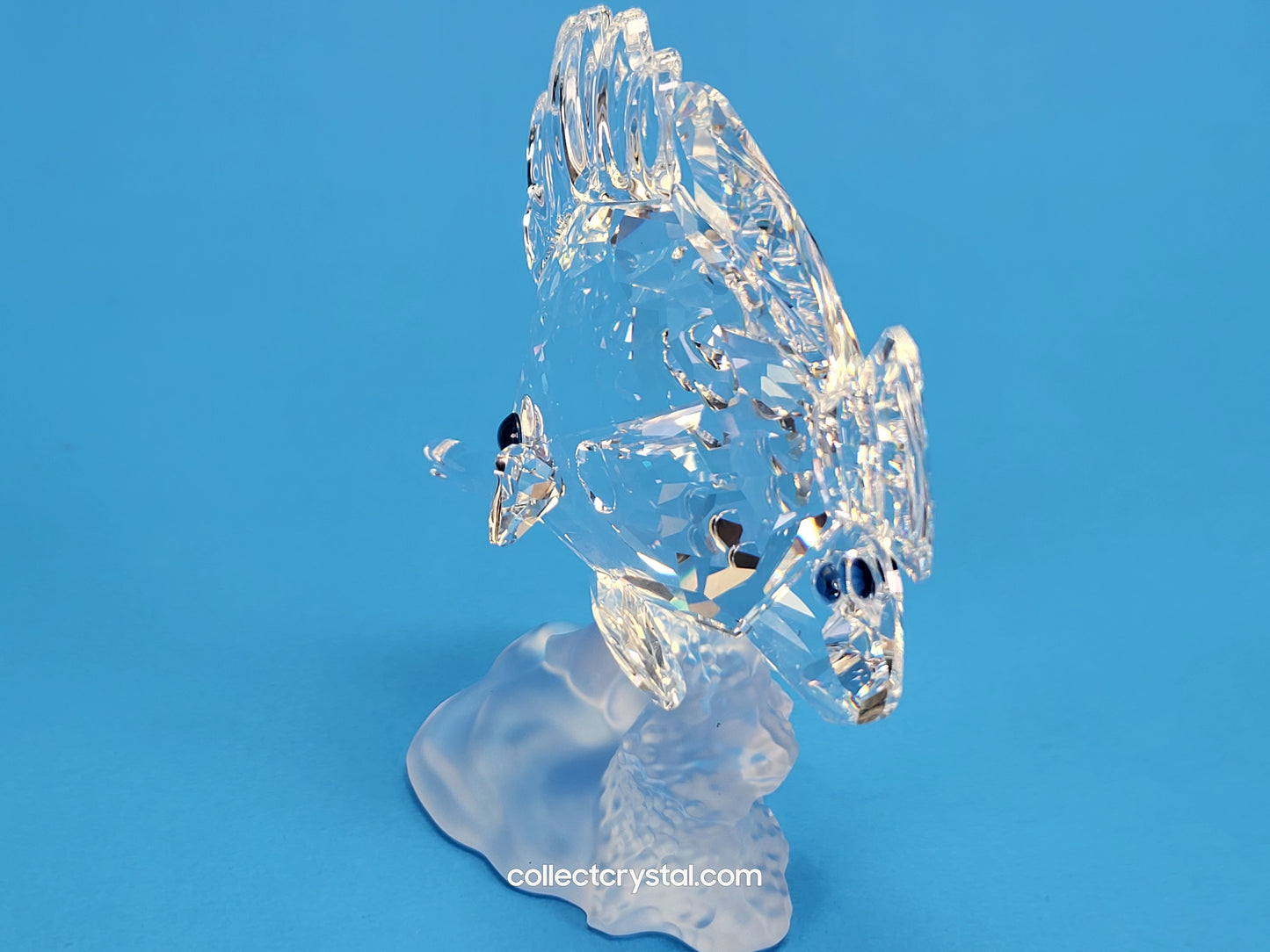 Longnose Butterfly Crystal Fish Figurine 2009 MIB Complete # 666567